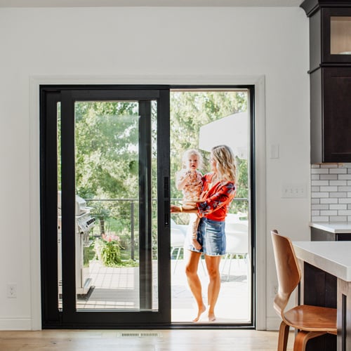Patio door with TruScene insect screens